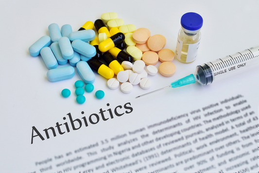 Mikrobiom-támogatás antibiotikumkezelés idején: segítenek a prebiotikus rostok