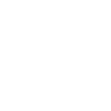 Carrot Icon